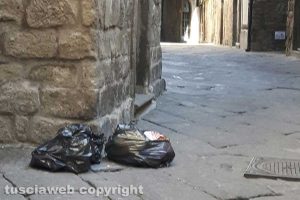 Viterbo - Sacchi di rifiuti lungo via San Pellegrino
