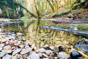 Barbarano Romano - Parco Marturanum