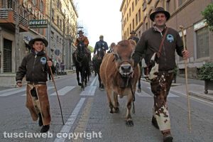 Viterbo - La benedizione degli animali