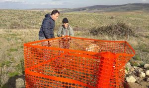 Tarquinia - I lavori di messa in sicurezza al Pianoro della Civita