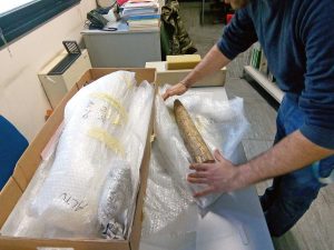 Bagnoregio - Le zanne dell'elefante primitivo pronte per il restauro
