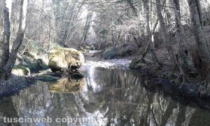 Civitella Cesi - Affluente del Mignone
