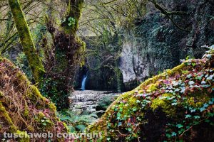 Barbarano Romano - Parco Marturanum