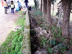 Viterbo - Santa Barbara - Discarica nel canale di deflusso acqua