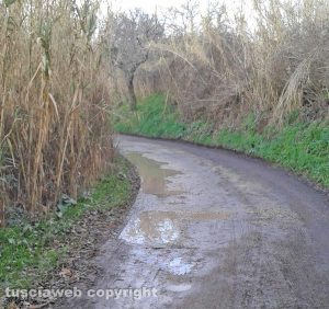 Viterbo - Strada Buon Respiro