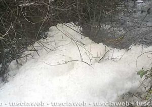 Tuscania - Schiuma nel fiume Marta