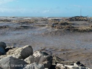 Montalto di Castro - Foce del fiume Fiora