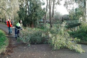Tarquinia - I volontari Aeopc al lavoro per il maltempo