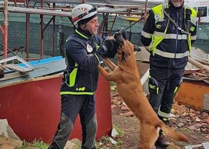 Valentano - Il centro di addestramento di unità cinofile Mirò