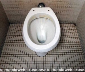 Viterbo - I bagni alla scuola Grandori