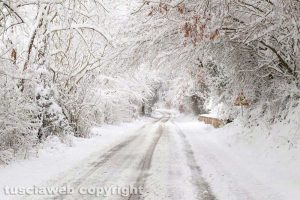 Gallese - Neve - Gallese innevata