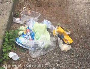 Viterbo - Plastica a terra in zona Murialdo