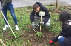 Tarquinia - I ragazzi del Cardarelli al lavoro con le piantine