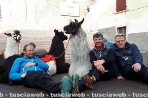 Trekking - Il viaggio di Walther Mair, Thomas Burger e Thomas Mohr