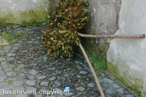 Viterbo - La corona della giornata della Memoria
