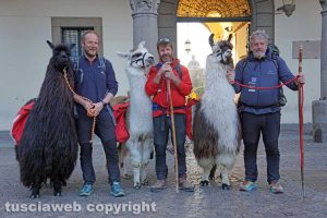 Viterbo - Thomas Burger, Walter Mair e Thomas Mohr