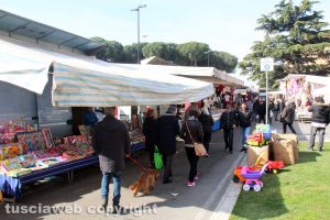 Viterbo - La fiera dell'Annunziata