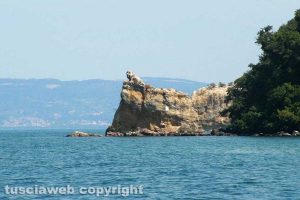 Capodimonte - L'isola Bisentina