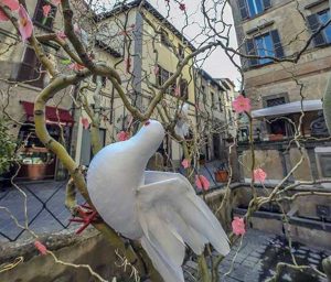 Bolsena - Piazza S. Rocco - L'albero di Pasqua