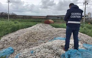 I dischetti recuperati in mare e sequestrati dalla Guardia Costiera