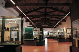 Farnese - Il museo civico