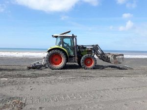 Tarquinia - Trattore al lavoro sulla spiaggia