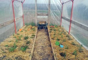 Orte - Lavori per la realizzazione dell'orto sinergico