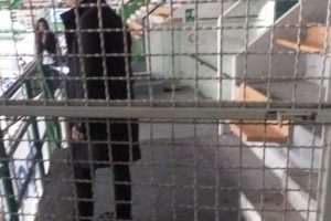 Sport - Pallavolo - Il settore ospiti del PalaEstra di Siena