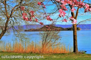 Capodimonte - Il lago di Bolsena