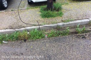 Viterbo - Belcolle - I ferri che escono dall’asfalto del parcheggio