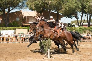 Montalto di Castro - Maremma d'aMare 2018