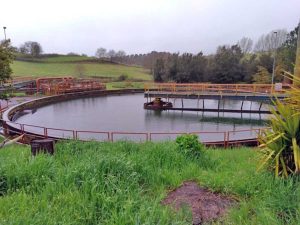 Marta - Il depuratore Cobalb