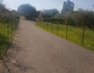 Tobia - L'area recintata