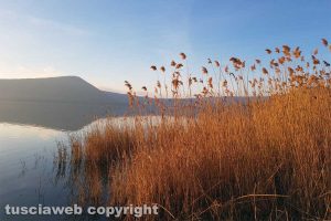 Ronciglione - Riflessi sul lago di Vico