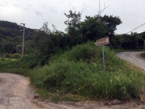 Acquapendente - Erbacce nella via Francigena