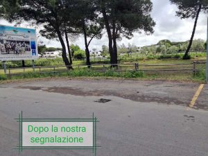 Montalto di Castro - I cassonetti tolti dopo la segnalazione