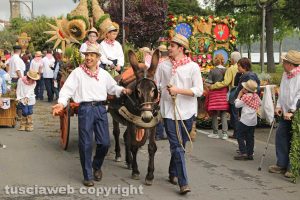 Marta - La festa della Madonna del Monte