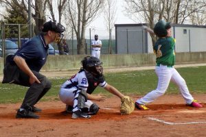 Sport - Baseball - Montefiascone - Dario Marianello in battuta