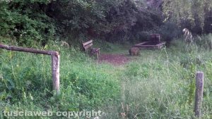 Montefiascone - La via Francigena sommersa dalle erbacce