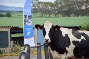 Porte aperte in fattoria