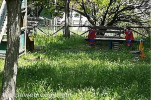 Viterbo - Incuria nei giardini viterbesi