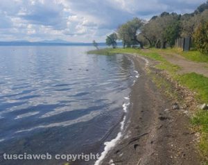 Montefiascone - Località Lucrino - Schiuma nell'acqua del lago