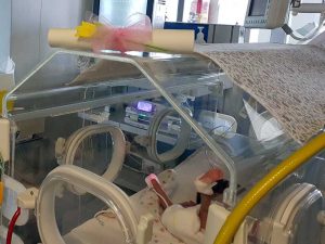 Viterbo - Belcolle - La pergamena per le mamme dei bimbi ricoverati in Tin