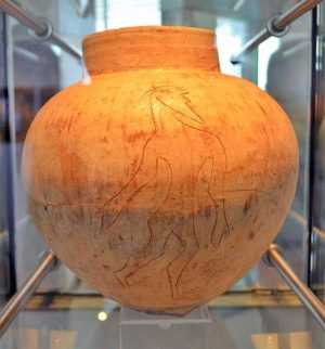 Farnese - Un reperto del museo