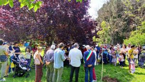 Vetralla - Gli alberi piantati per ogni bambino nato o adottato