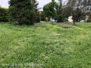 Viterbo - I giardini in viale Bruno Buozzi