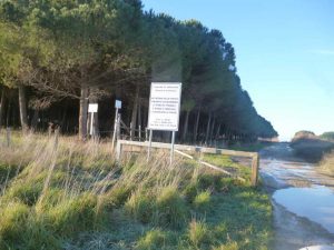 Tarquinia - Ingresso pineta di San Giorgio