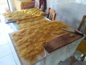 Fieno canepinese