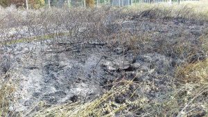 Incendio in un campo di sterpaglie