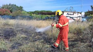 Tarquinia - Incendio in località San Giorgio
